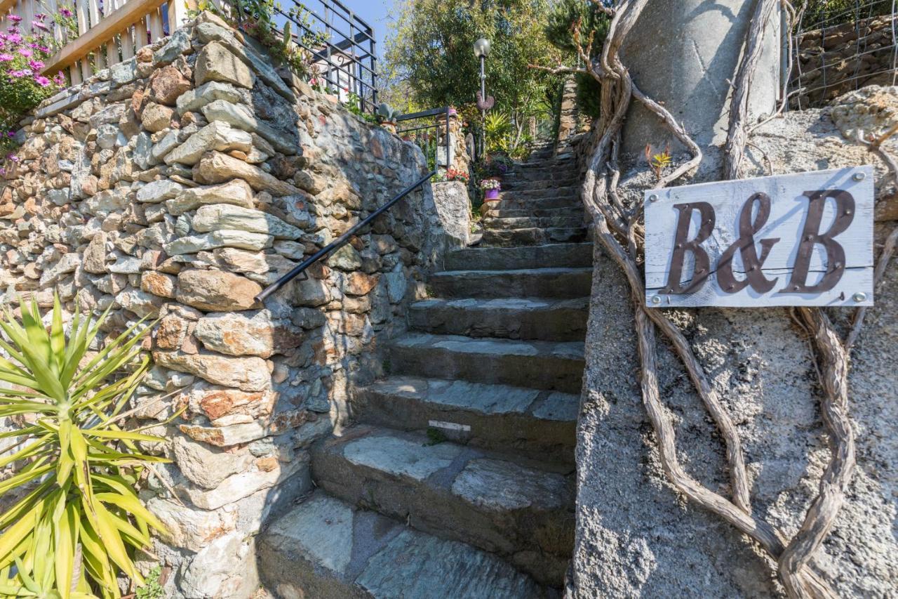 B&B Ca De Badin ノーリ エクステリア 写真